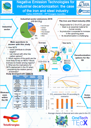 Negative Emission Technologies for industrial decarbonization: the case of the iron and steel industry